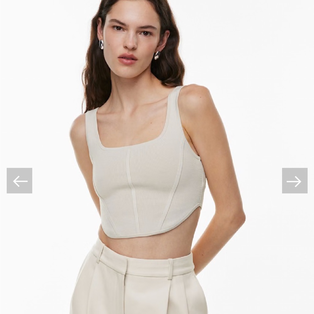 NWOT Aritzia Babaton Beige Matte Pearl Sculpt Knit Bustier Tank Top